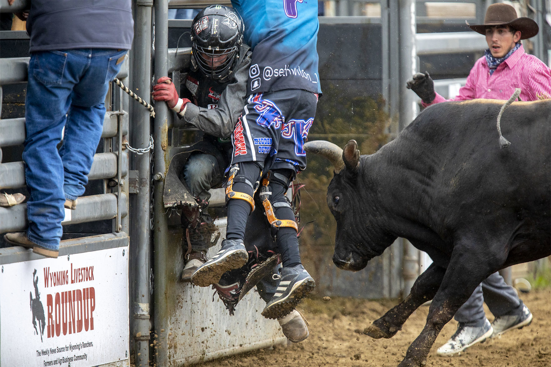 Rodeo gallery